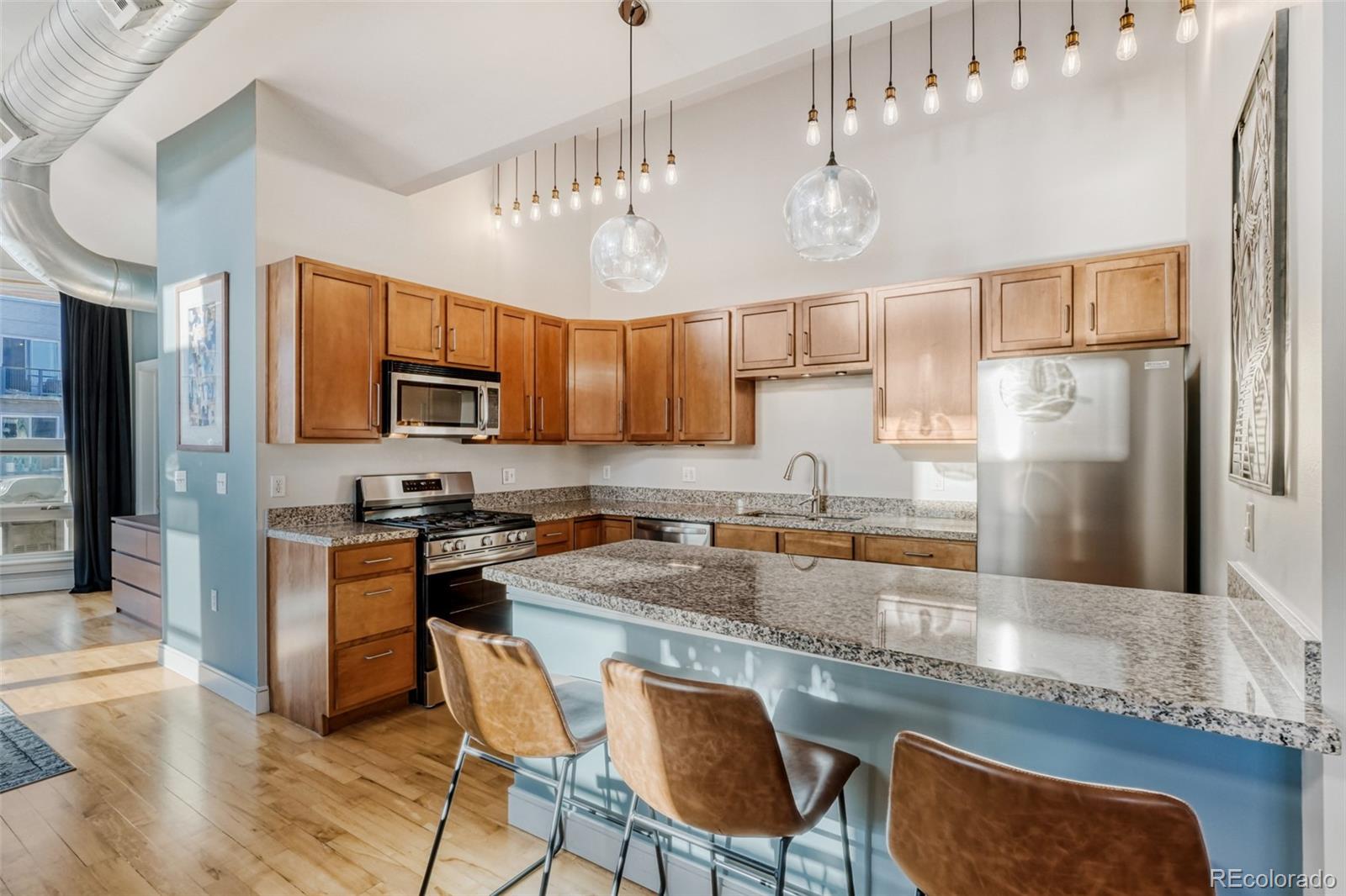 MLS Image #5 for 2441 n broadway ,denver, Colorado