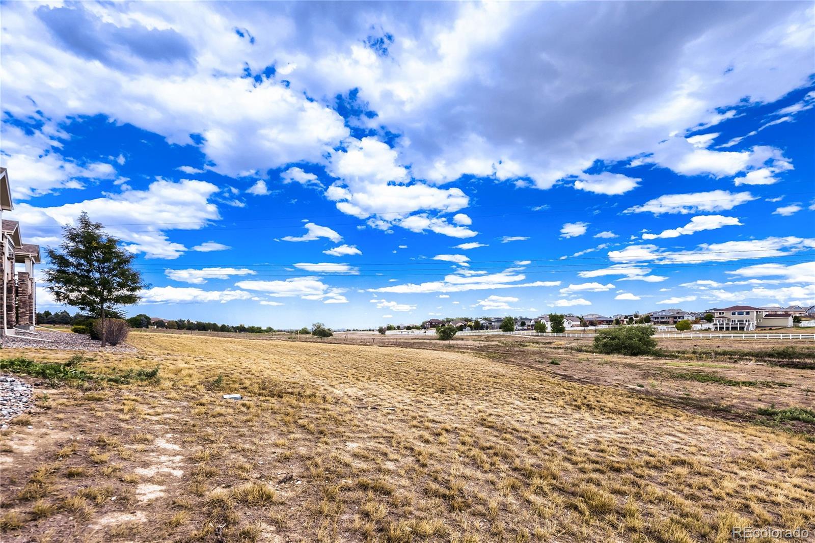MLS Image #8 for 12678  ulster street,thornton, Colorado
