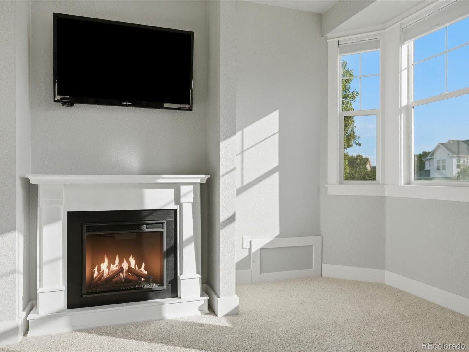MLS Image #21 for 11683  newton street,westminster, Colorado