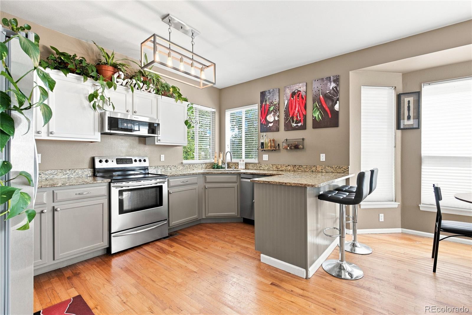 MLS Image #10 for 1830  baldwin park road,castle rock, Colorado