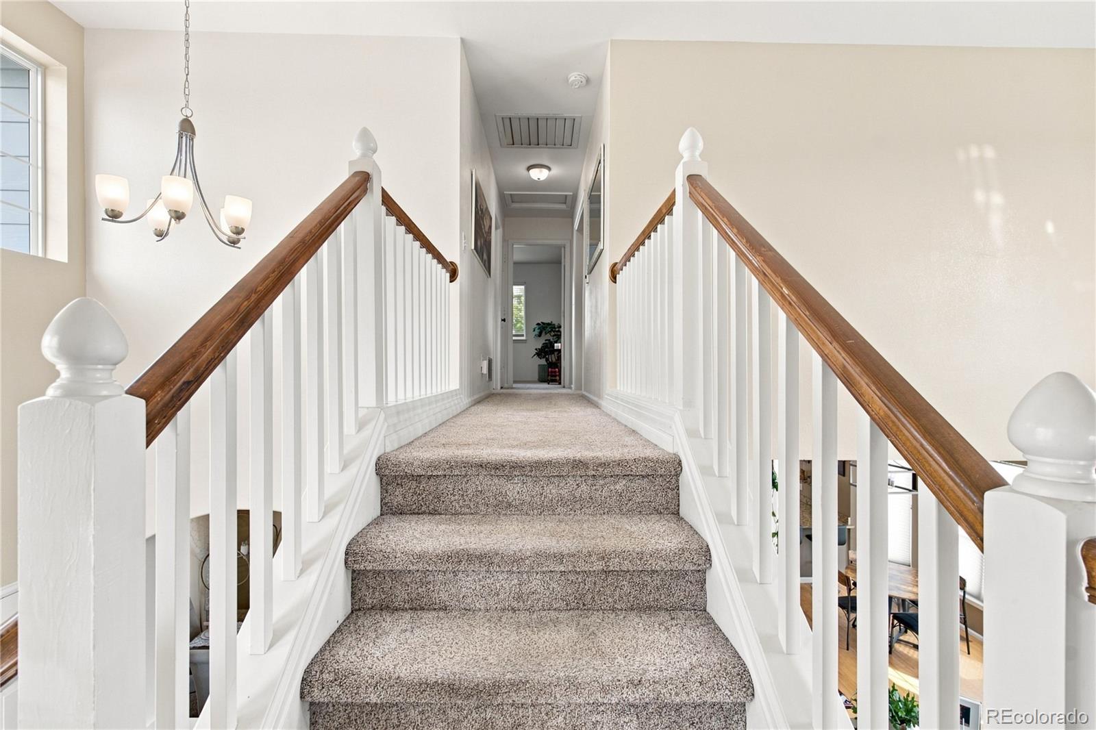 MLS Image #18 for 1830  baldwin park road,castle rock, Colorado