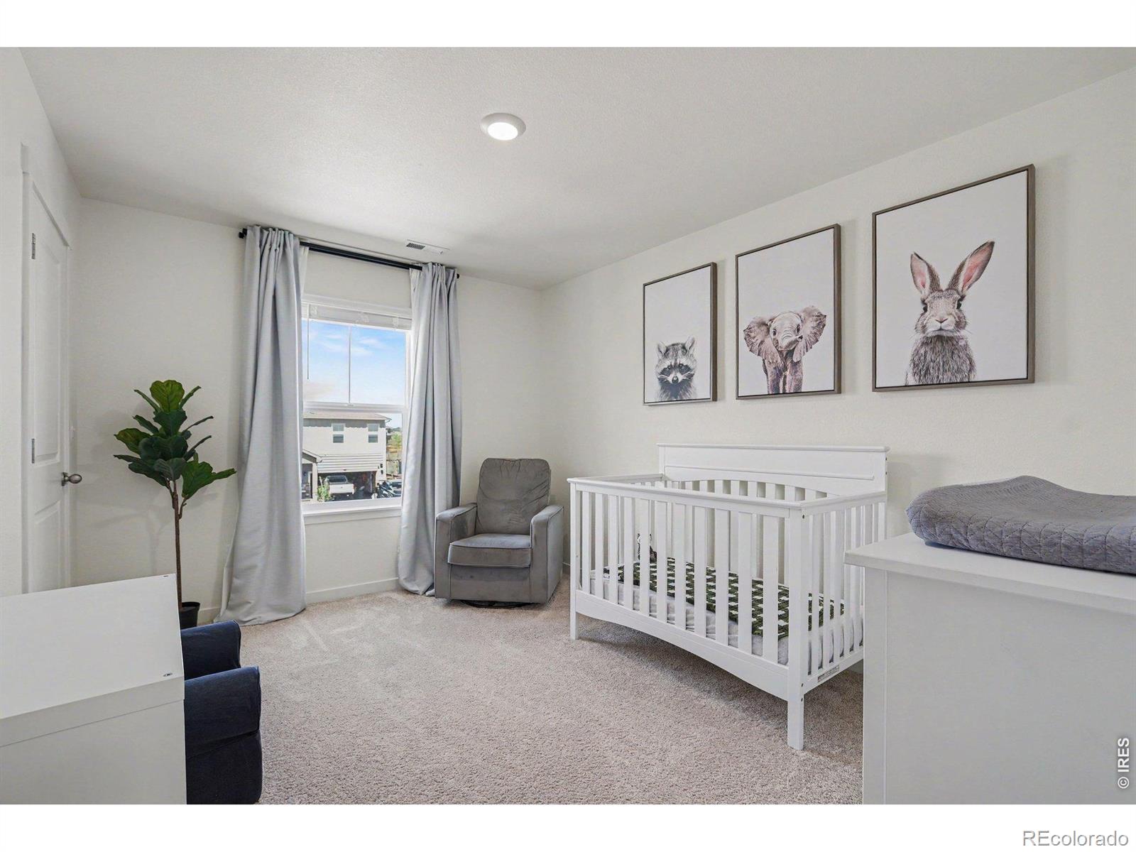 MLS Image #19 for 13616  topaz place,longmont, Colorado