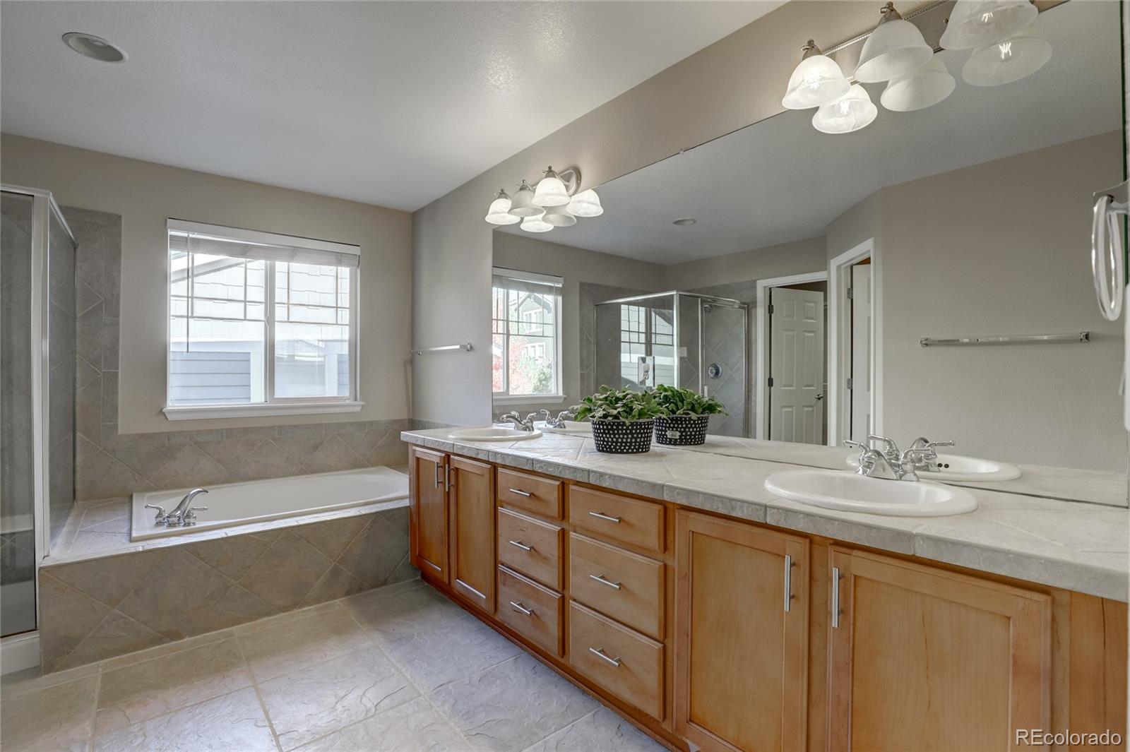 MLS Image #15 for 3242  windridge circle,highlands ranch, Colorado