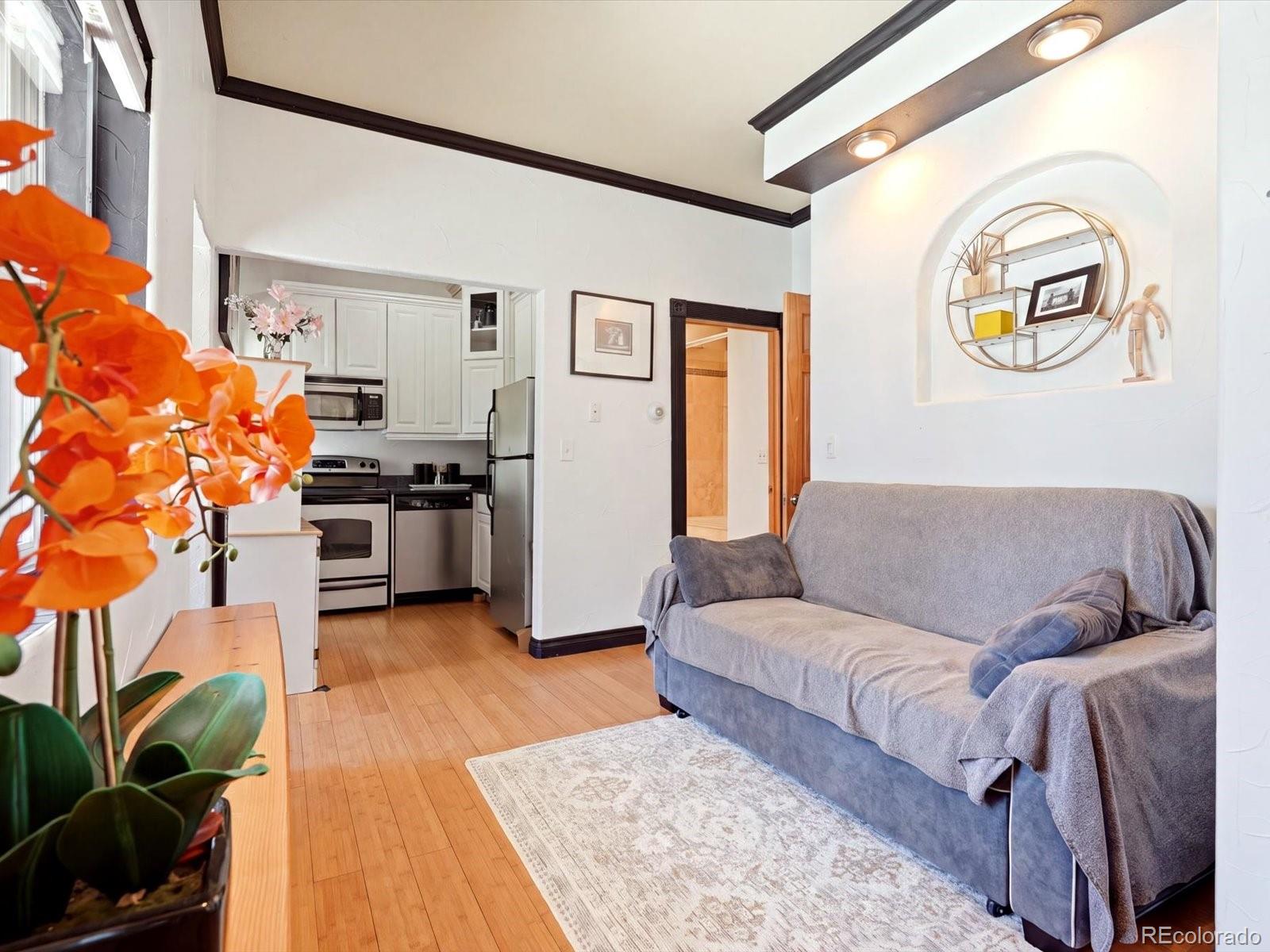 MLS Image #10 for 3133 n downing street,denver, Colorado