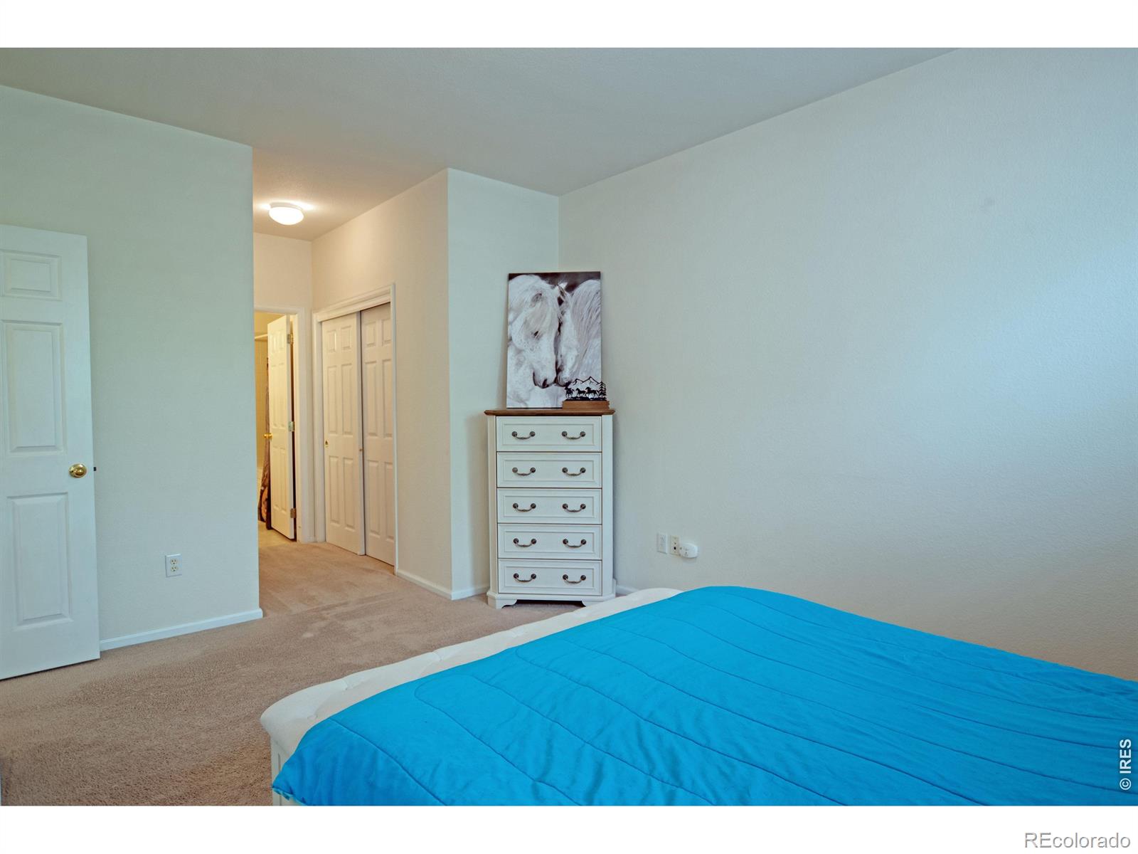 MLS Image #16 for 2059  grays peak drive,loveland, Colorado