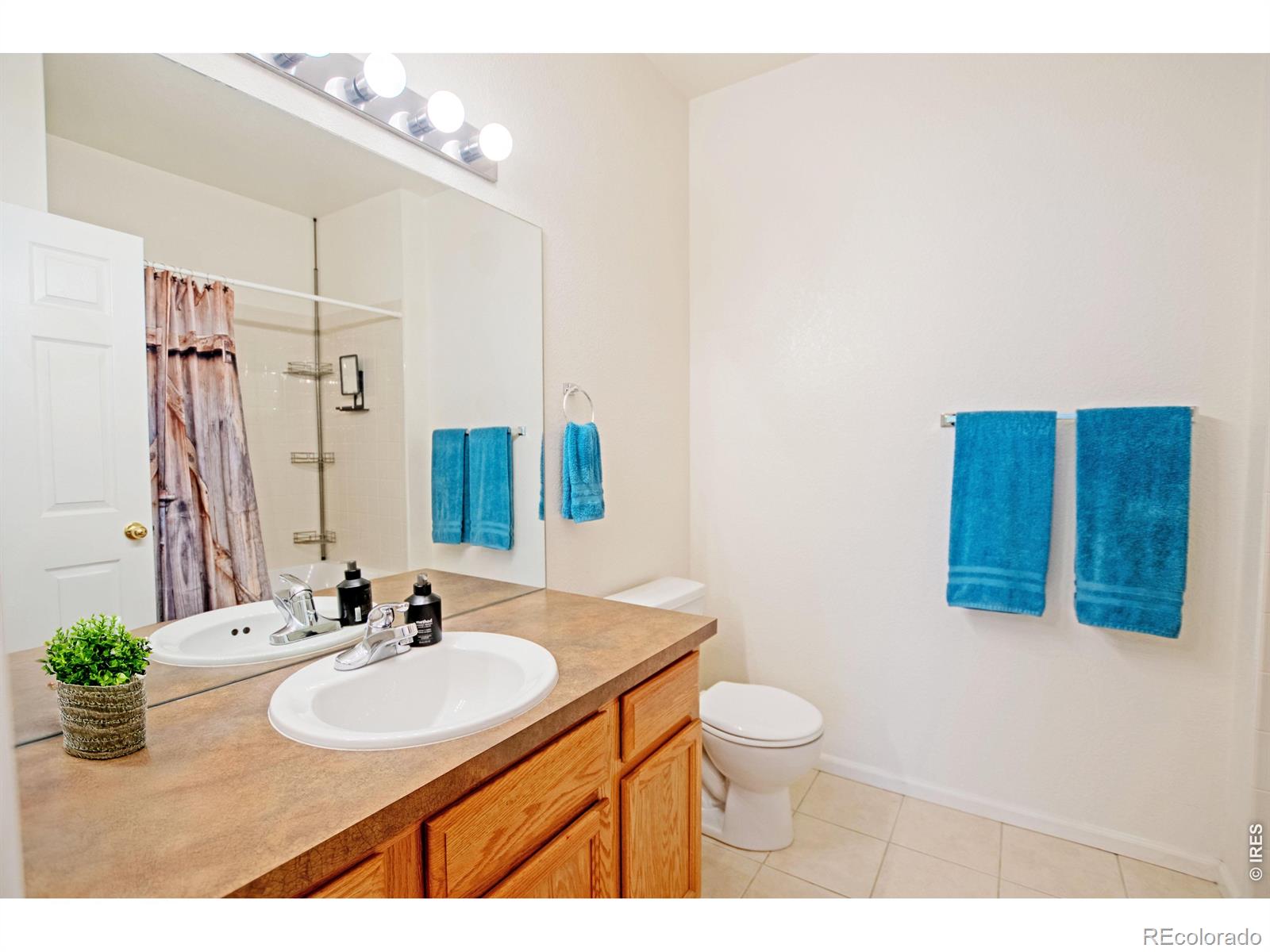 MLS Image #18 for 2059  grays peak drive,loveland, Colorado