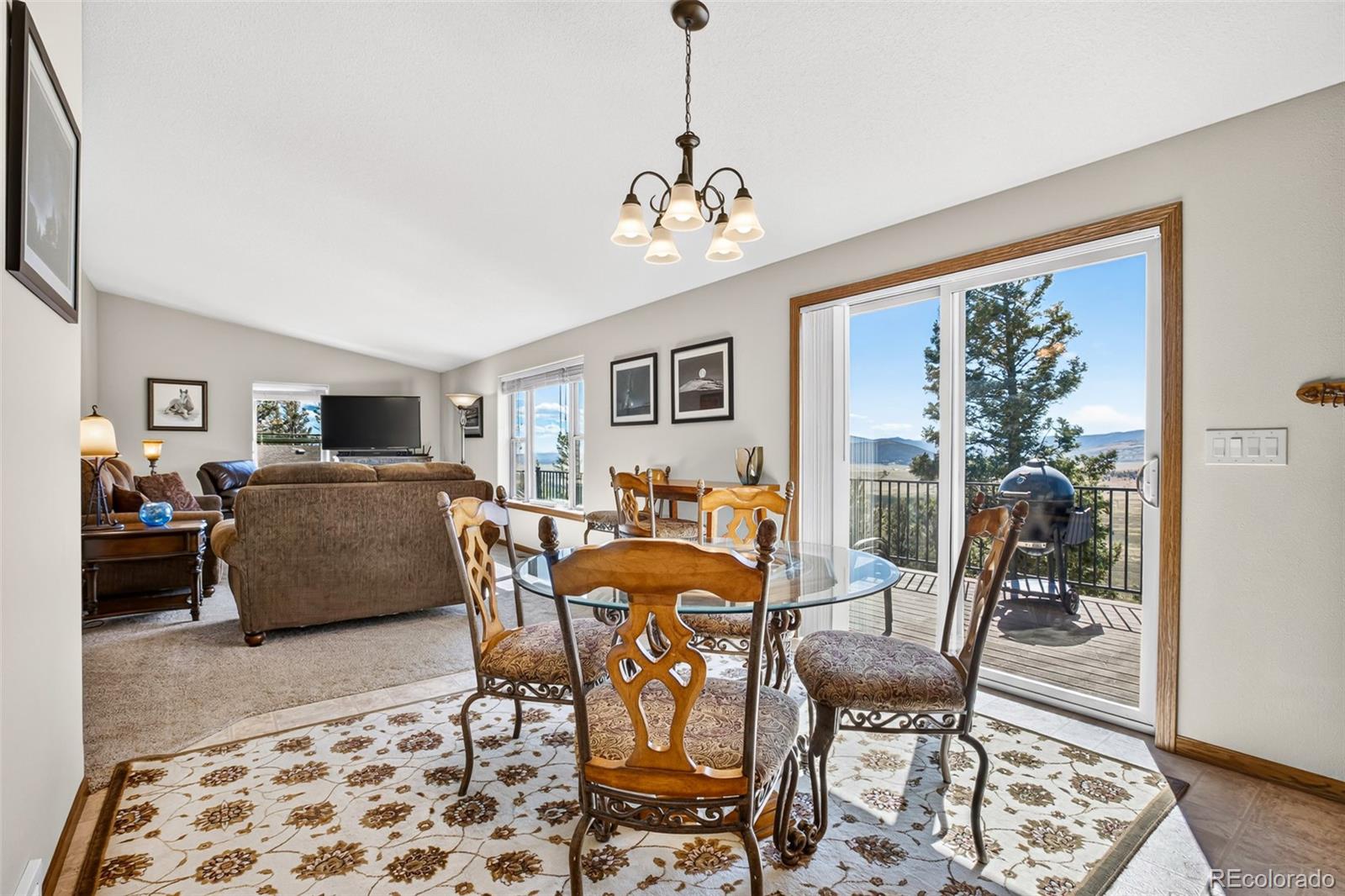 MLS Image #19 for 2189  middle fork vista,fairplay, Colorado