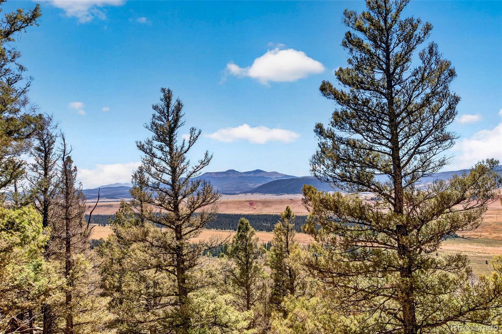 MLS Image #22 for 2189  middle fork vista,fairplay, Colorado