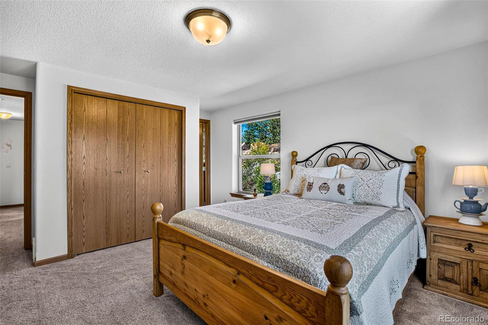 MLS Image #29 for 2189  middle fork vista,fairplay, Colorado