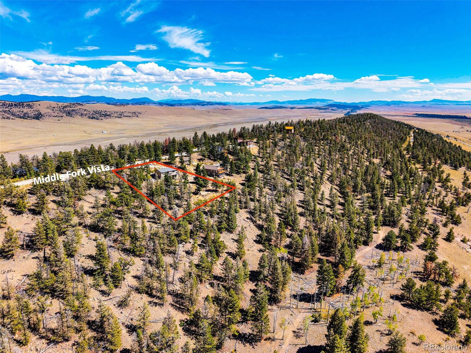 MLS Image #46 for 2189  middle fork vista,fairplay, Colorado