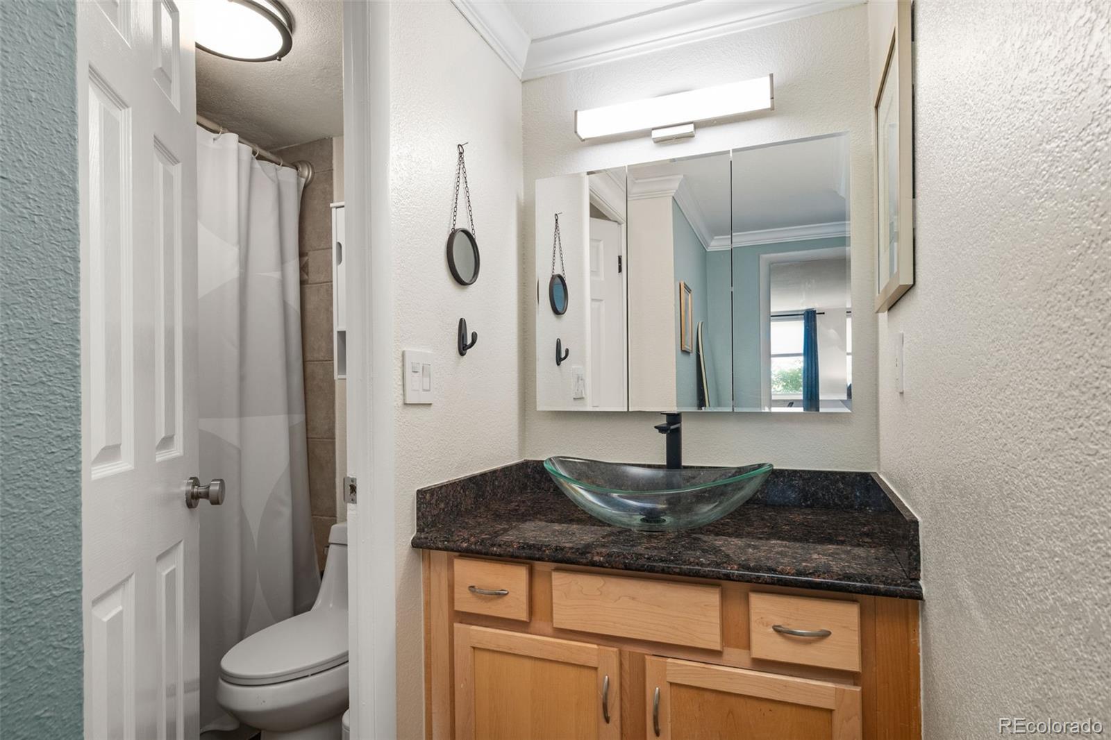MLS Image #10 for 1125 n washington street,denver, Colorado