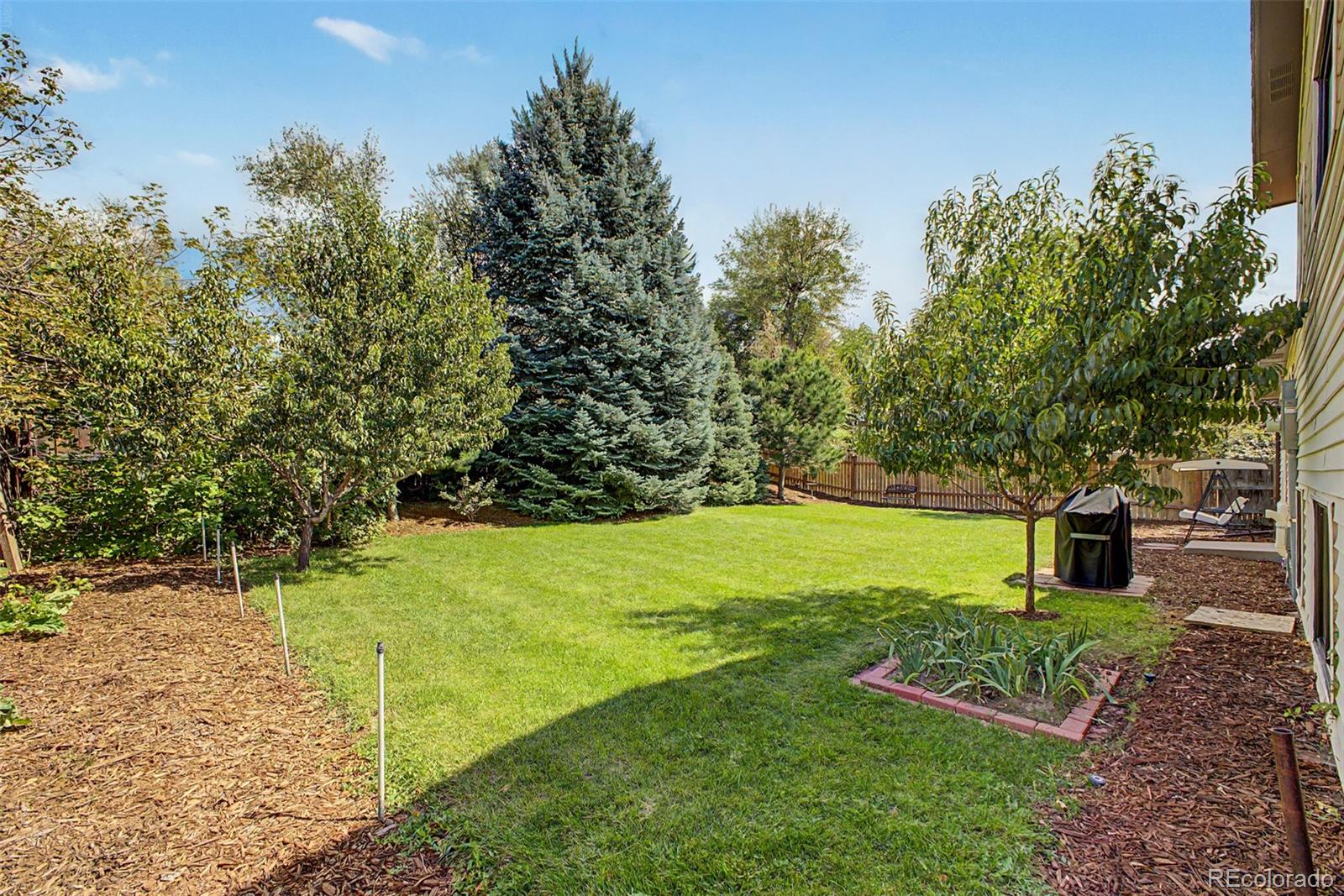 MLS Image #14 for 914 s macon street,aurora, Colorado
