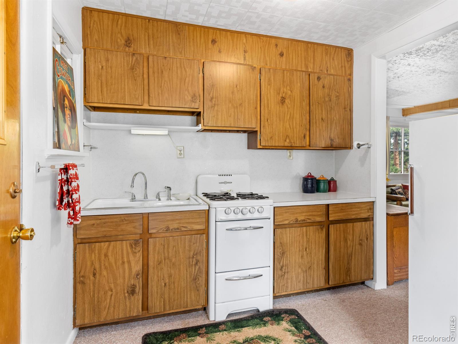 MLS Image #10 for 1155  broadview road,estes park, Colorado