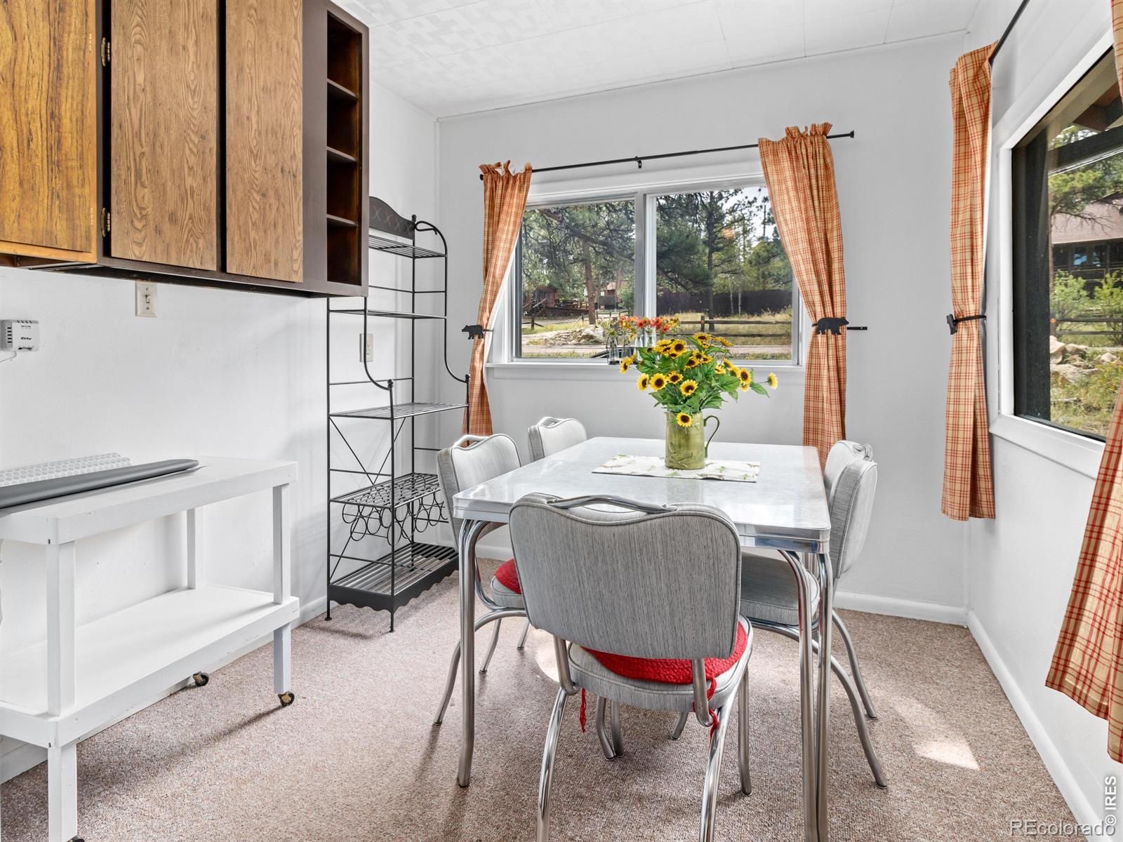 MLS Image #11 for 1155  broadview road,estes park, Colorado
