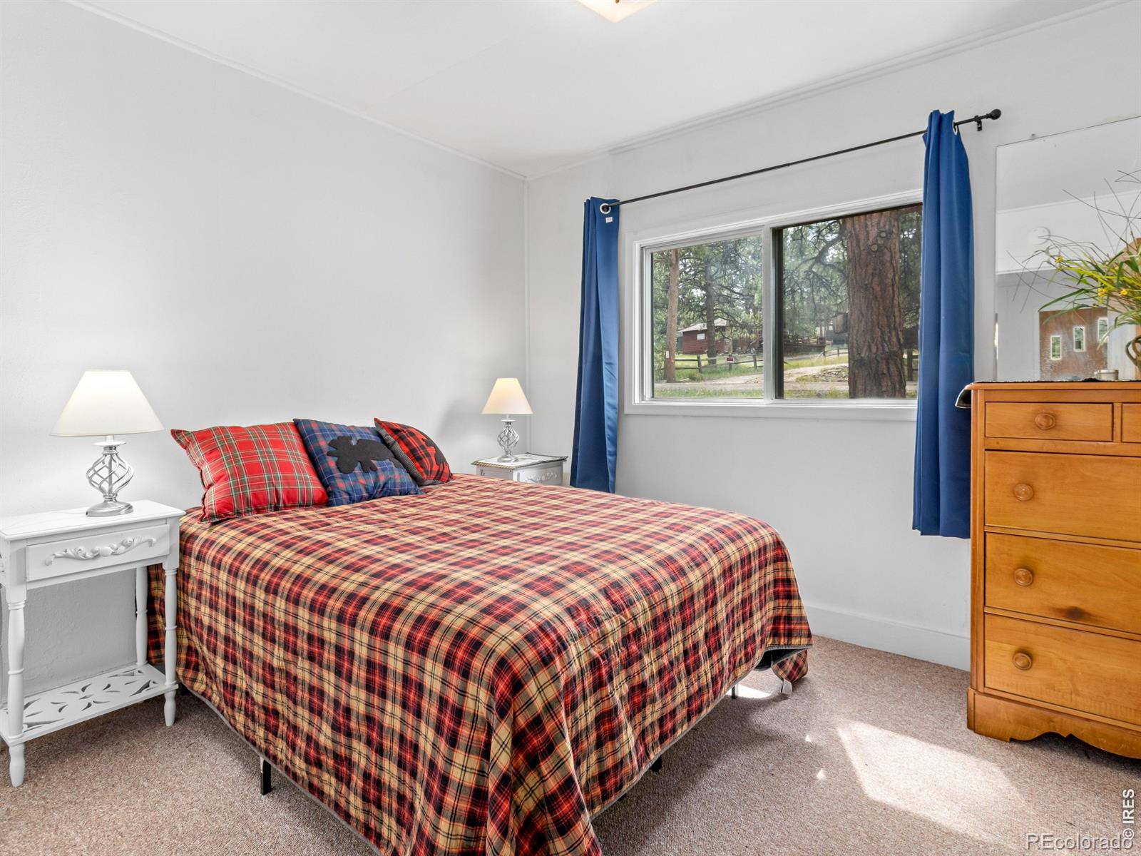MLS Image #15 for 1155  broadview road,estes park, Colorado