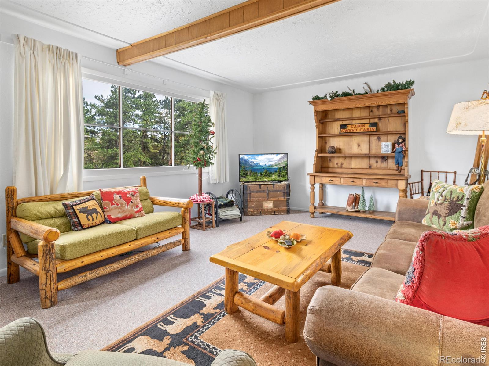 MLS Image #3 for 1155  broadview road,estes park, Colorado