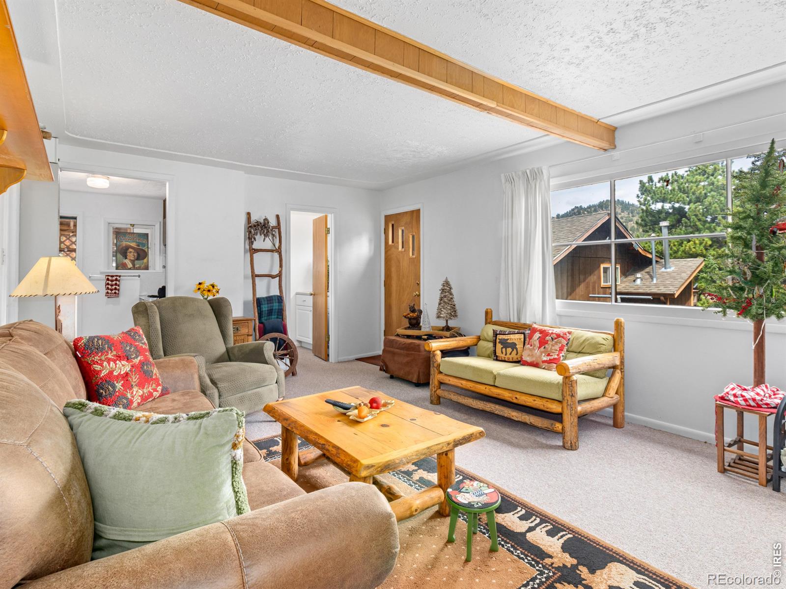 MLS Image #4 for 1155  broadview road,estes park, Colorado