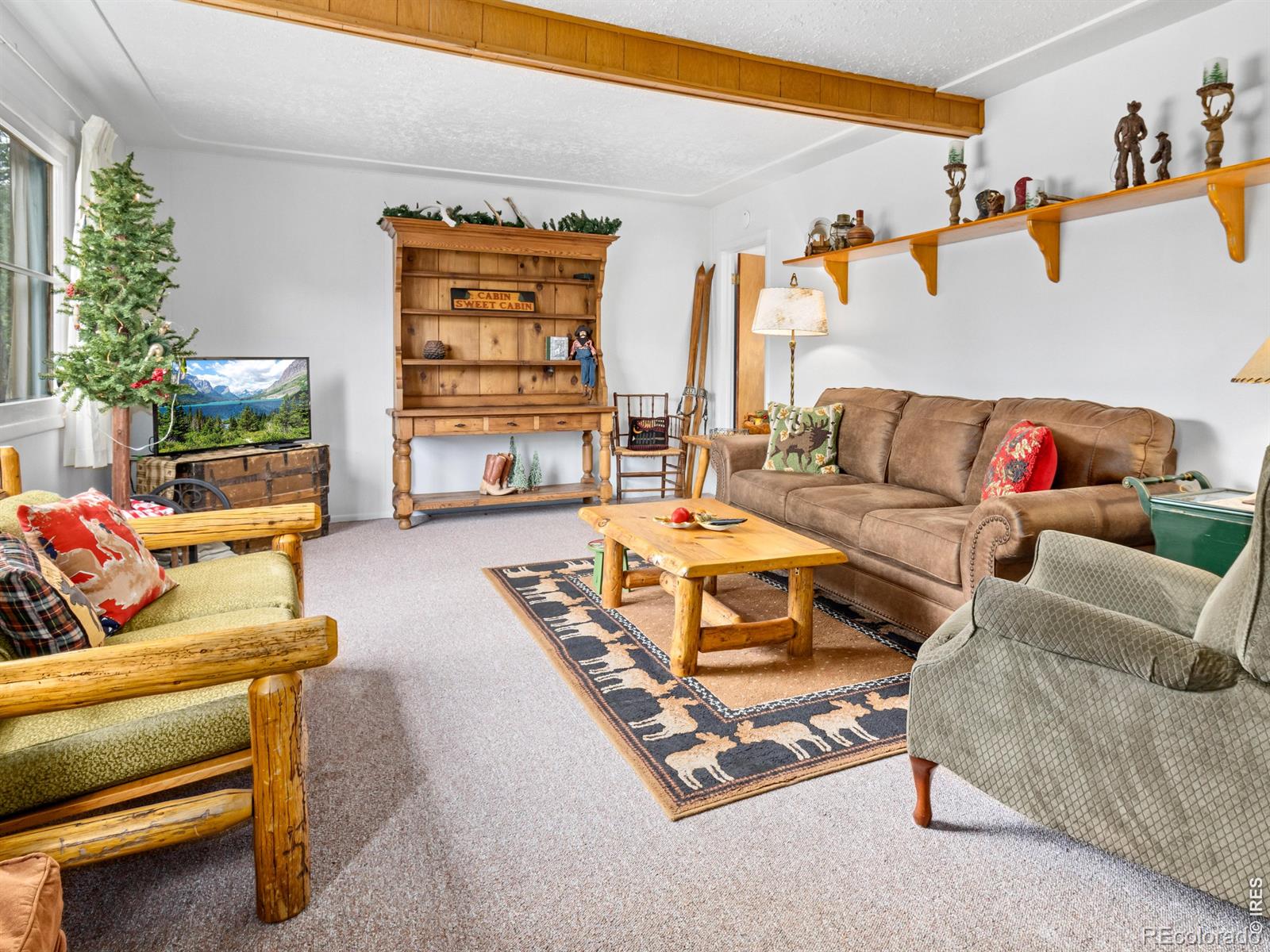 MLS Image #6 for 1155  broadview road,estes park, Colorado