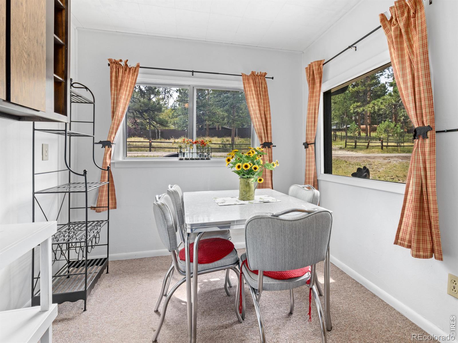 MLS Image #8 for 1155  broadview road,estes park, Colorado