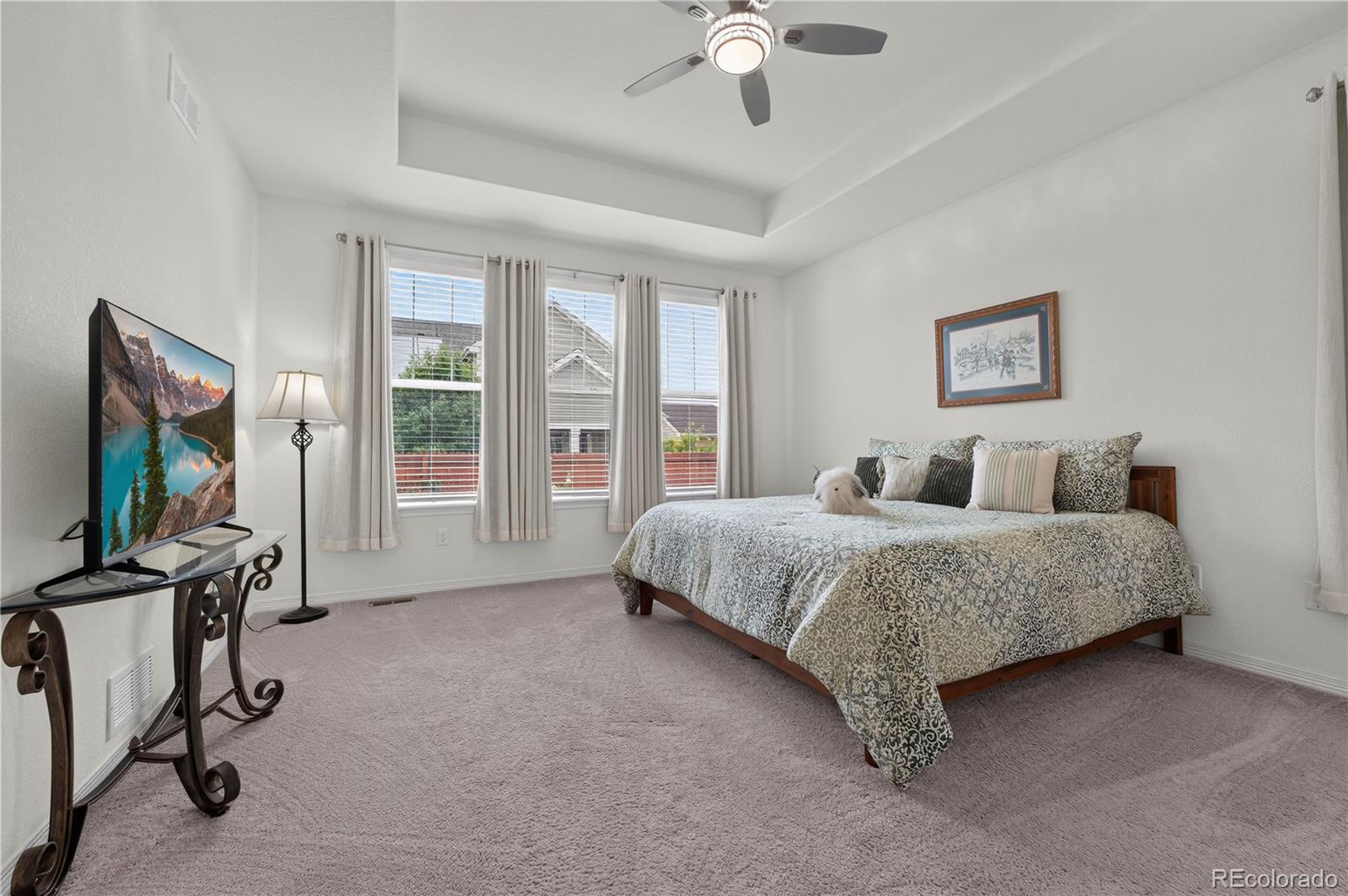 MLS Image #14 for 16356  columbine place,thornton, Colorado