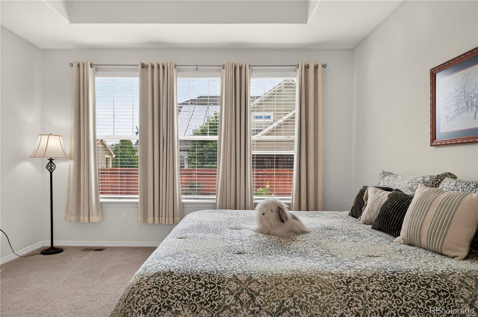 MLS Image #15 for 16356  columbine place,thornton, Colorado
