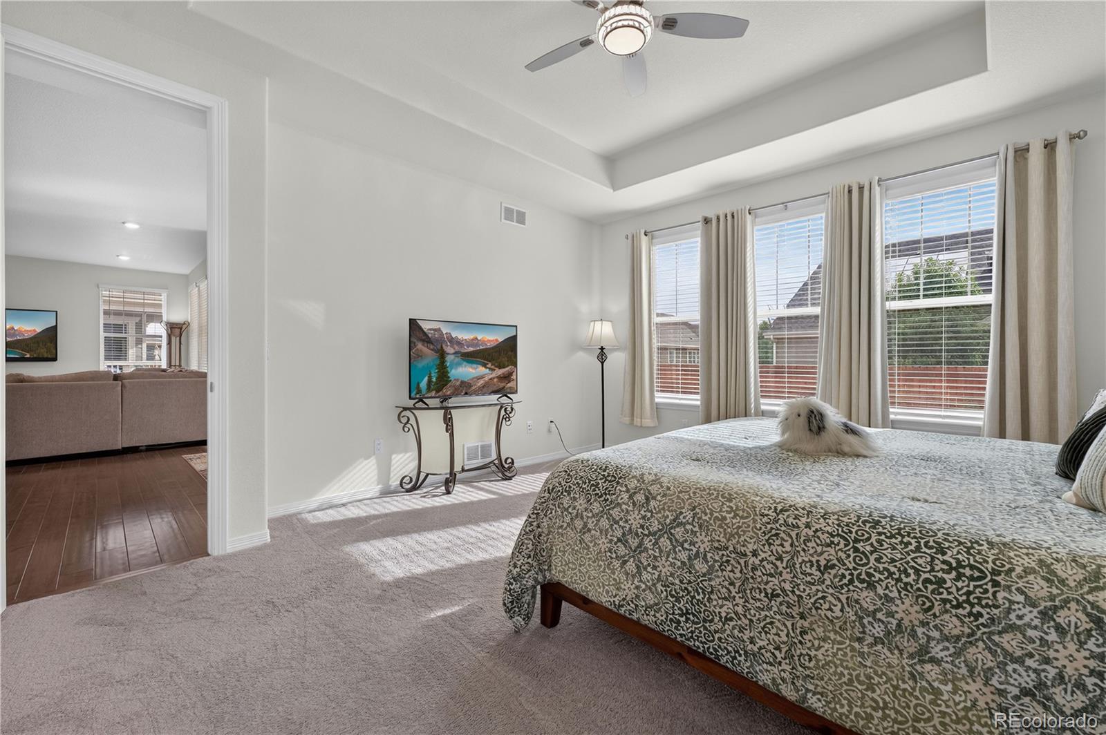 MLS Image #17 for 16356  columbine place,thornton, Colorado