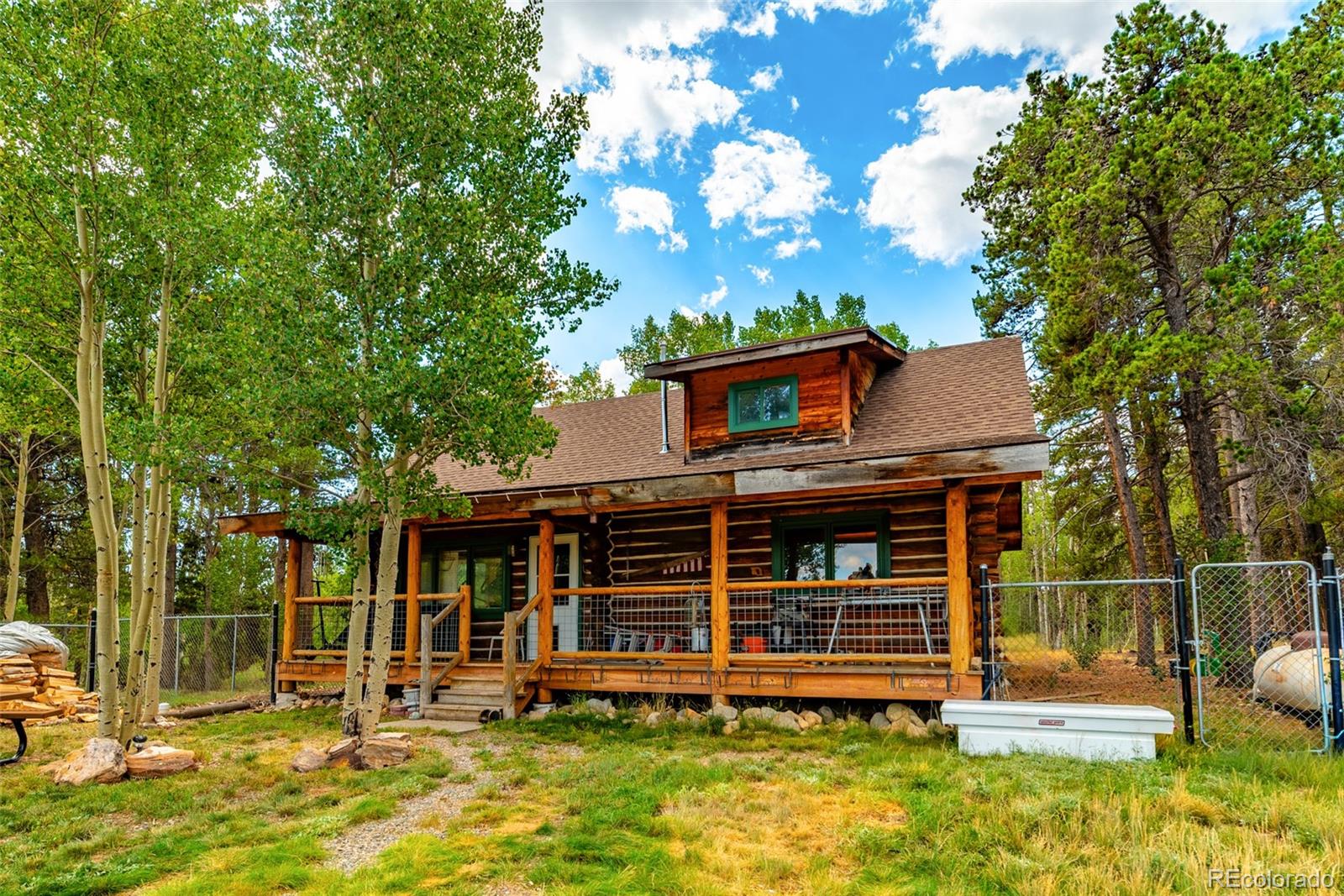 MLS Image #1 for 58  muhly court,fairplay, Colorado