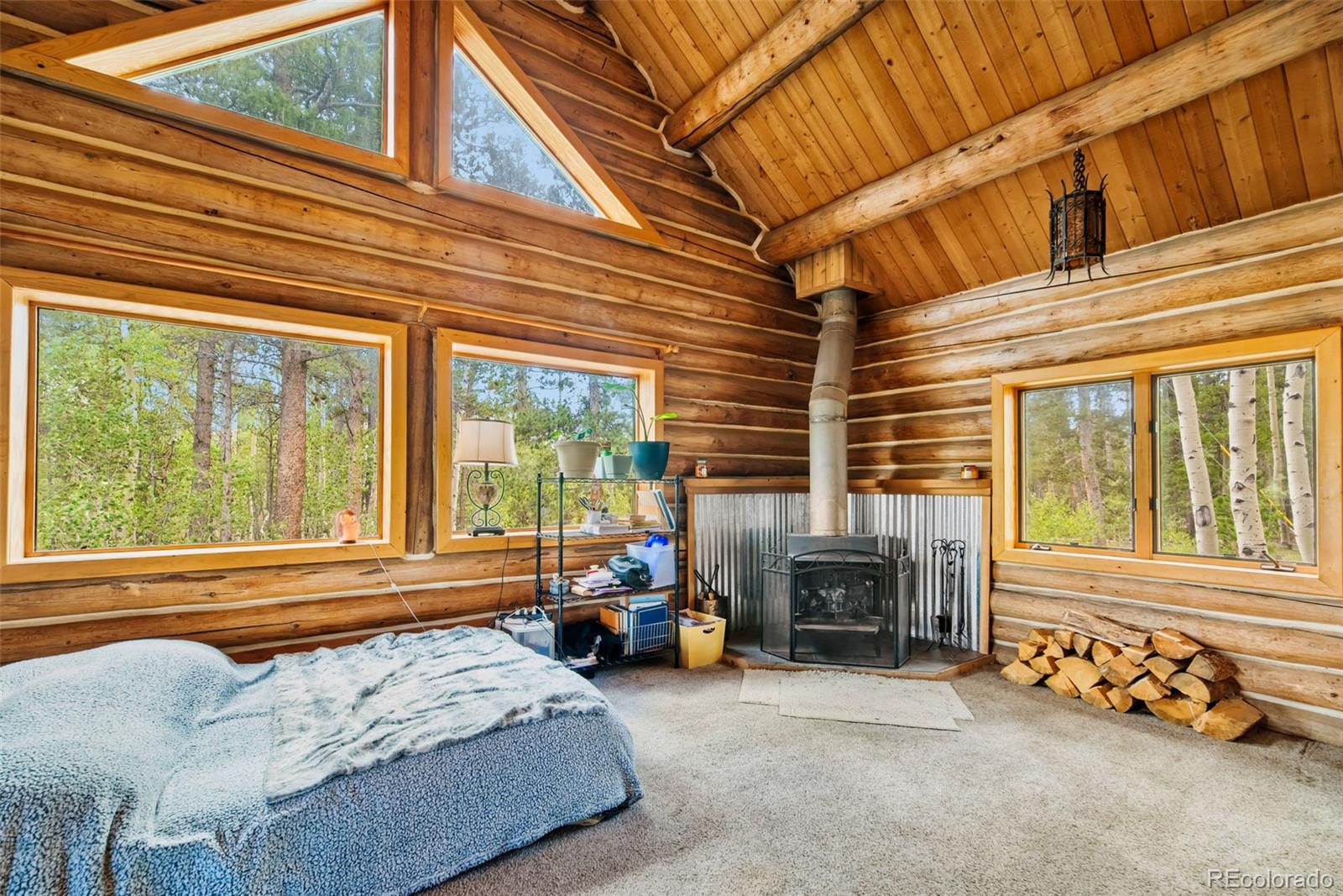 MLS Image #10 for 58  muhly court,fairplay, Colorado