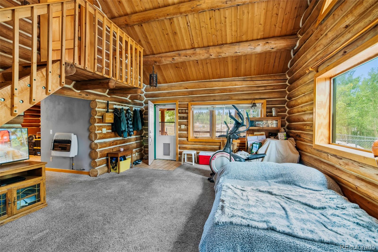 MLS Image #11 for 58  muhly court,fairplay, Colorado