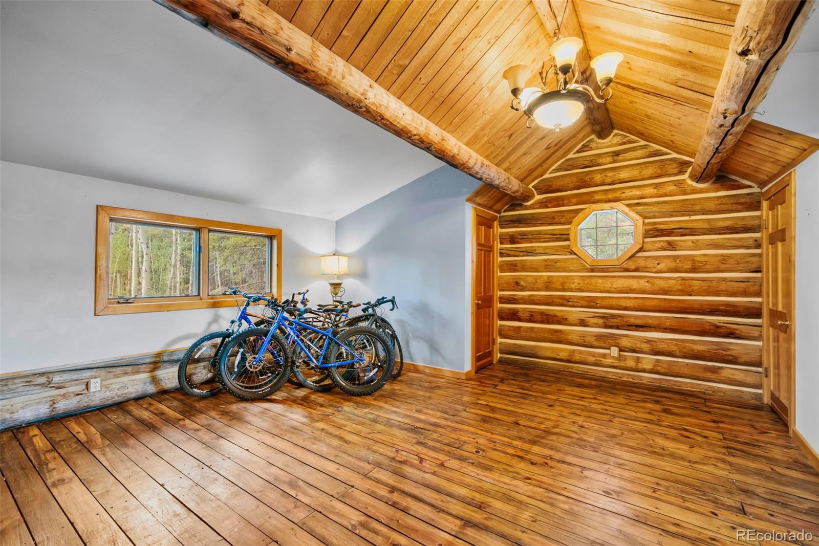MLS Image #13 for 58  muhly court,fairplay, Colorado