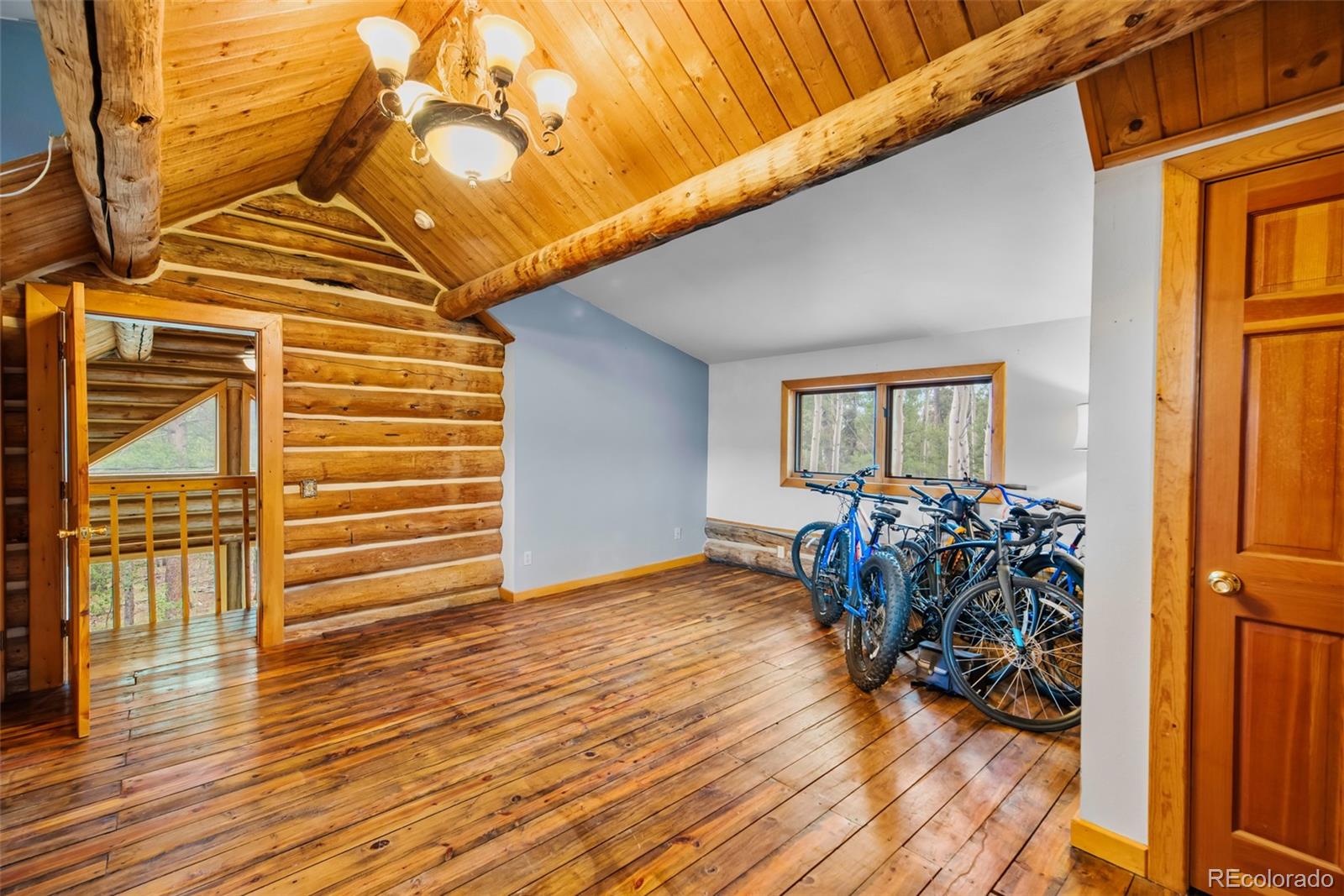 MLS Image #14 for 58  muhly court,fairplay, Colorado
