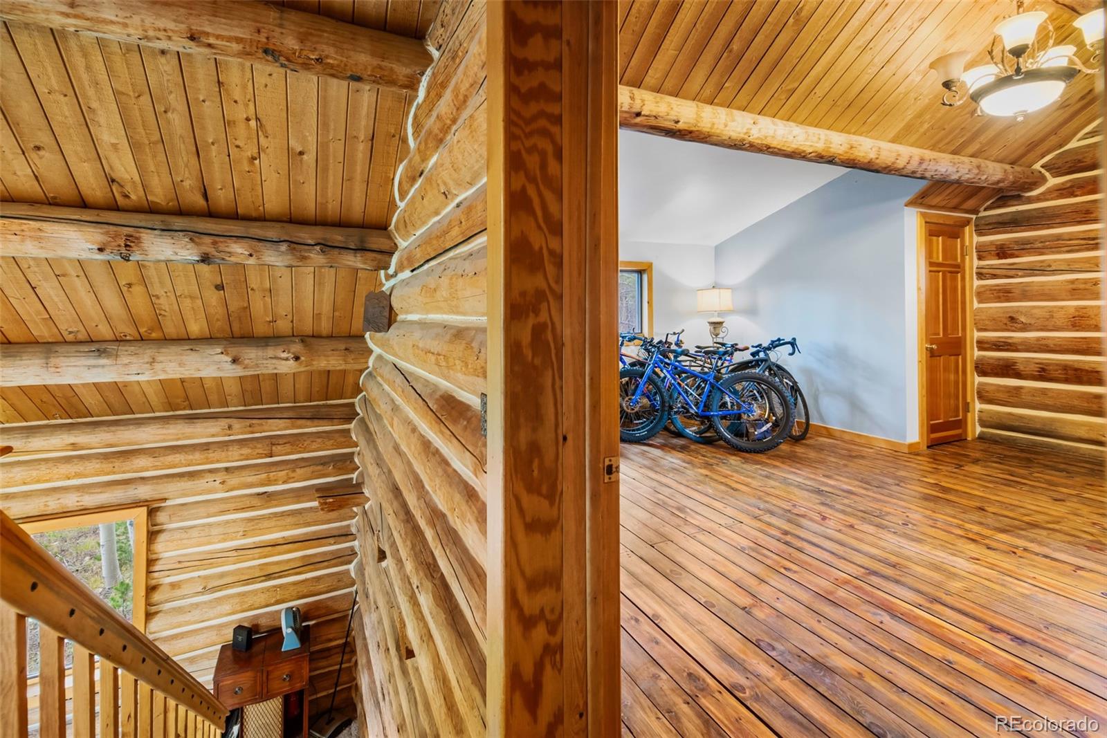 MLS Image #15 for 58  muhly court,fairplay, Colorado