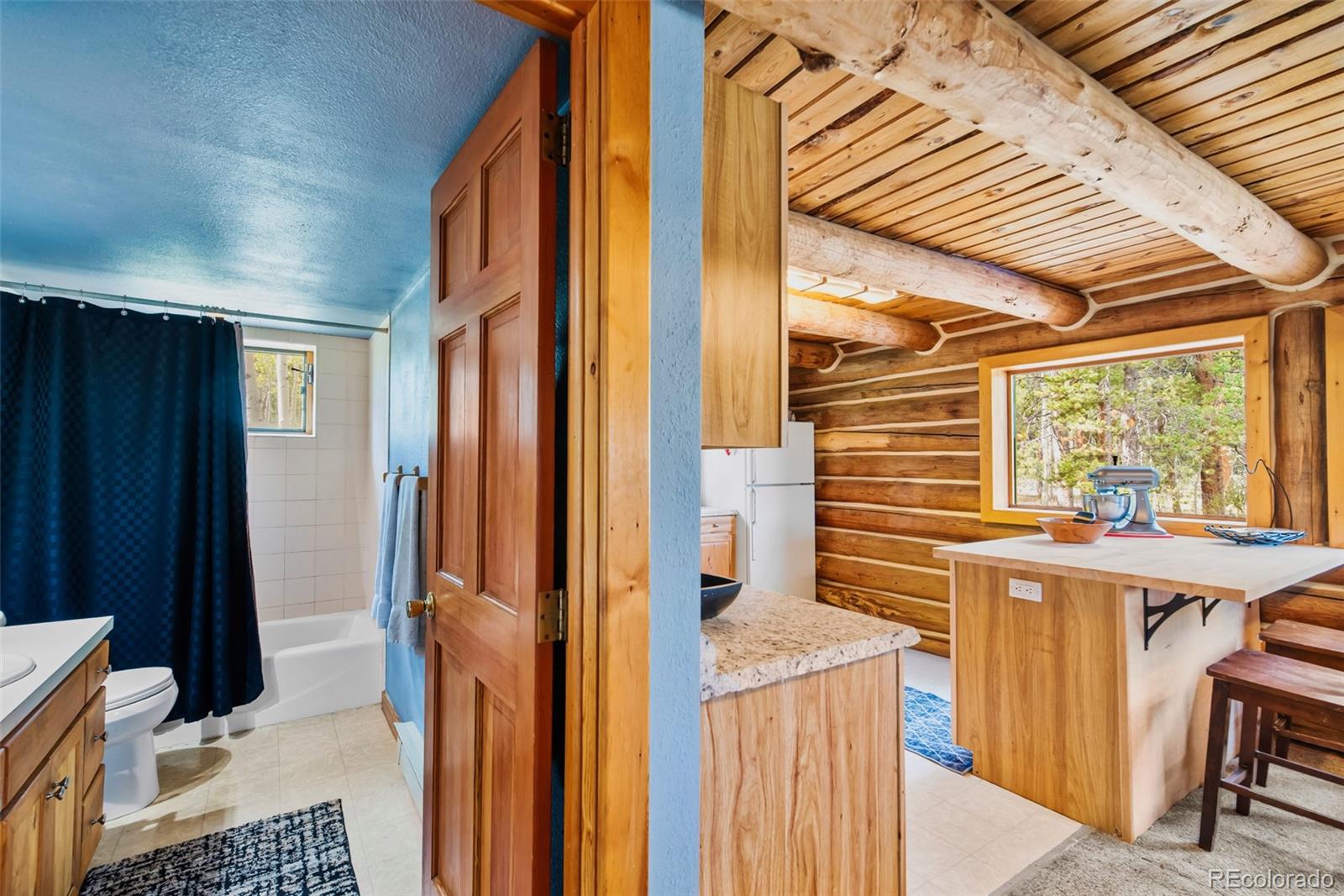 MLS Image #16 for 58  muhly court,fairplay, Colorado