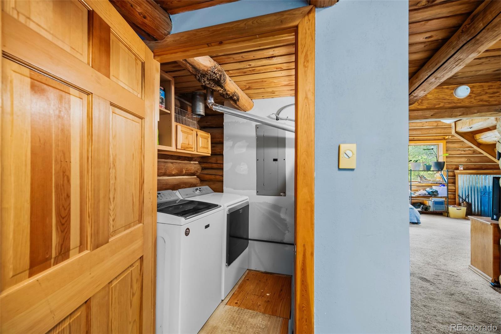 MLS Image #17 for 58  muhly court,fairplay, Colorado