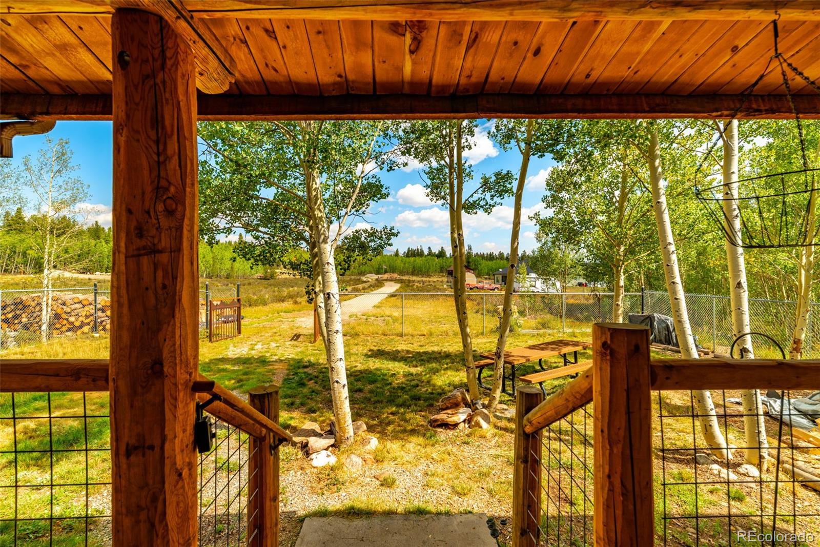MLS Image #2 for 58  muhly court,fairplay, Colorado