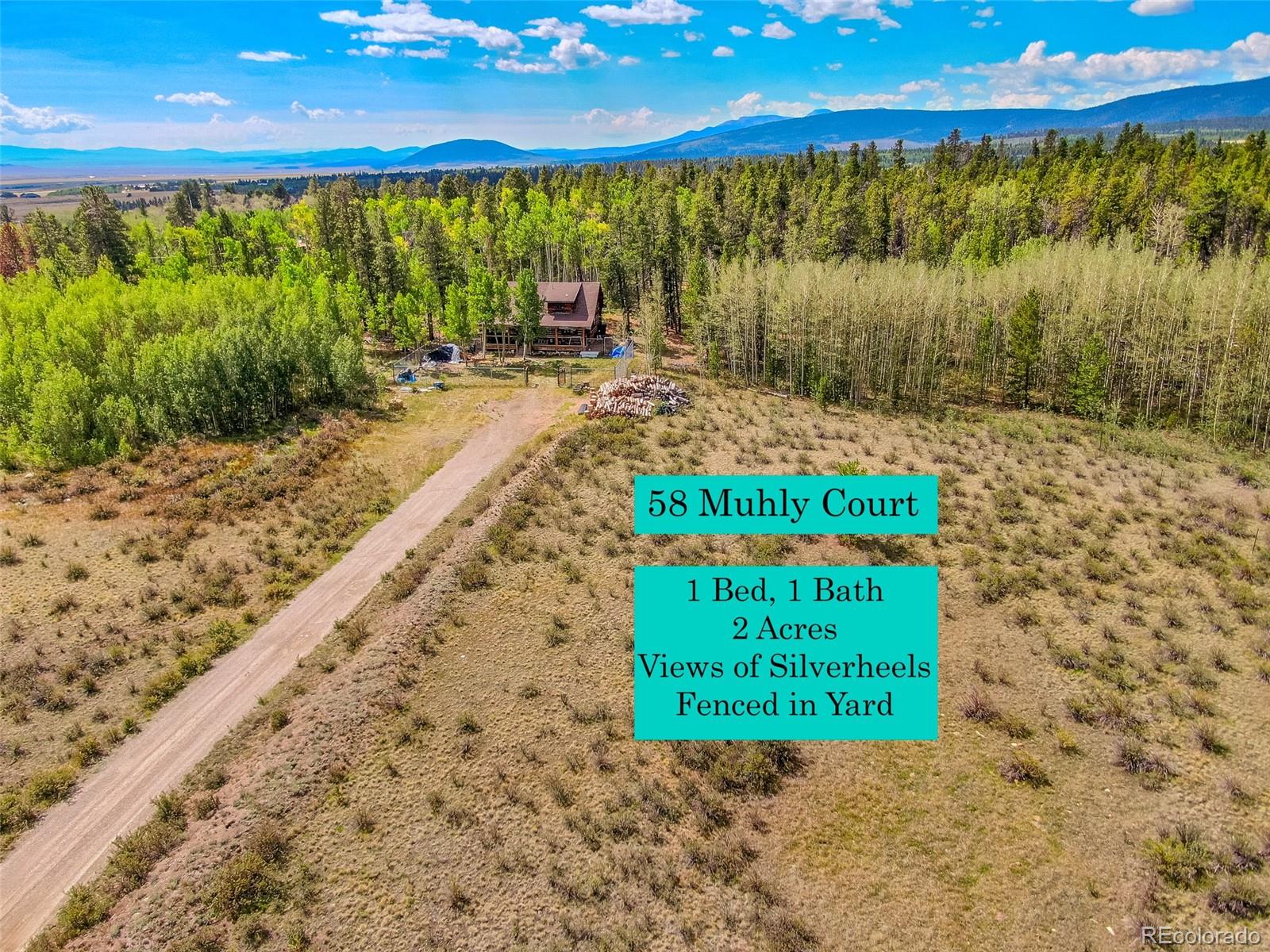 MLS Image #22 for 58  muhly court,fairplay, Colorado
