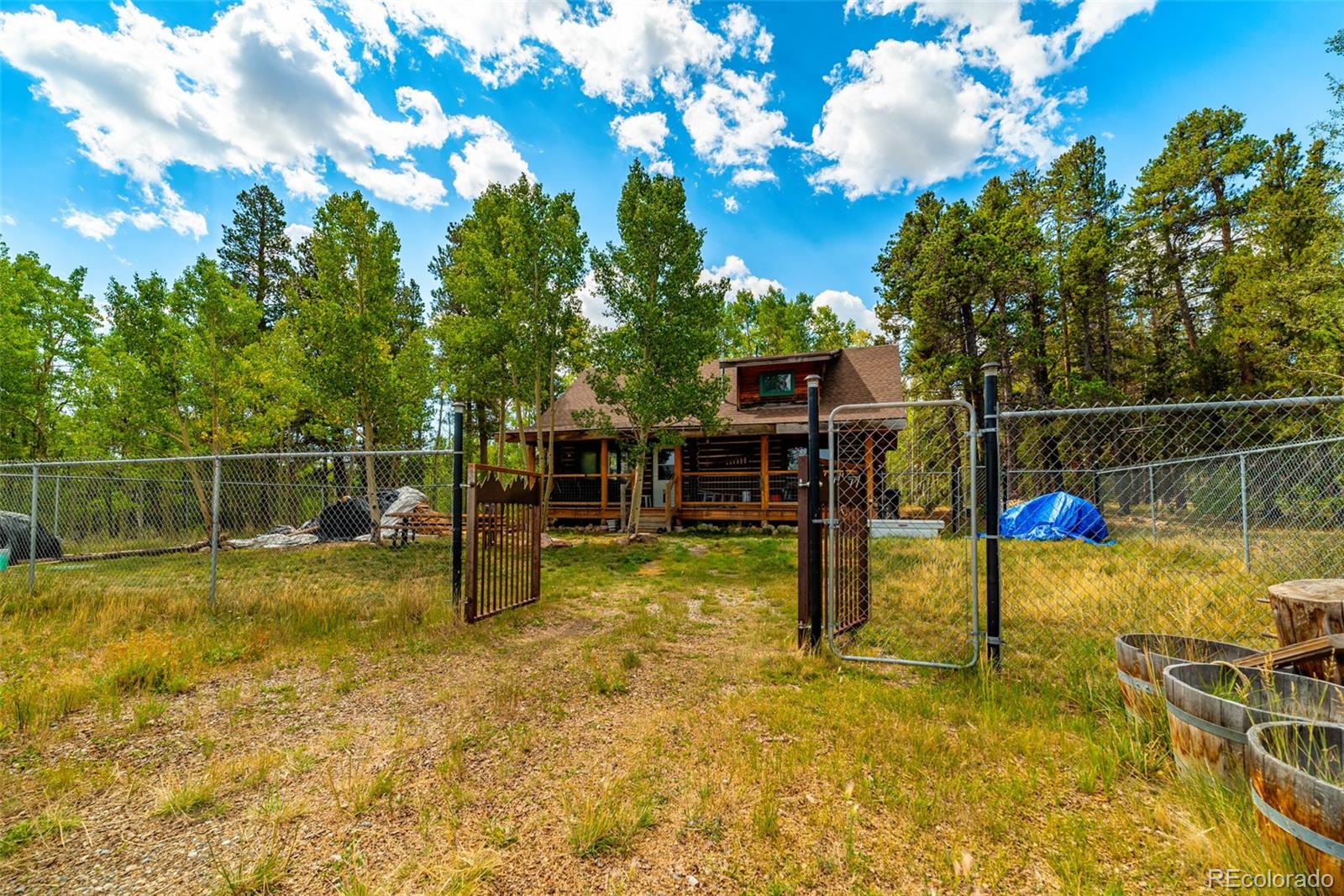 MLS Image #23 for 58  muhly court,fairplay, Colorado