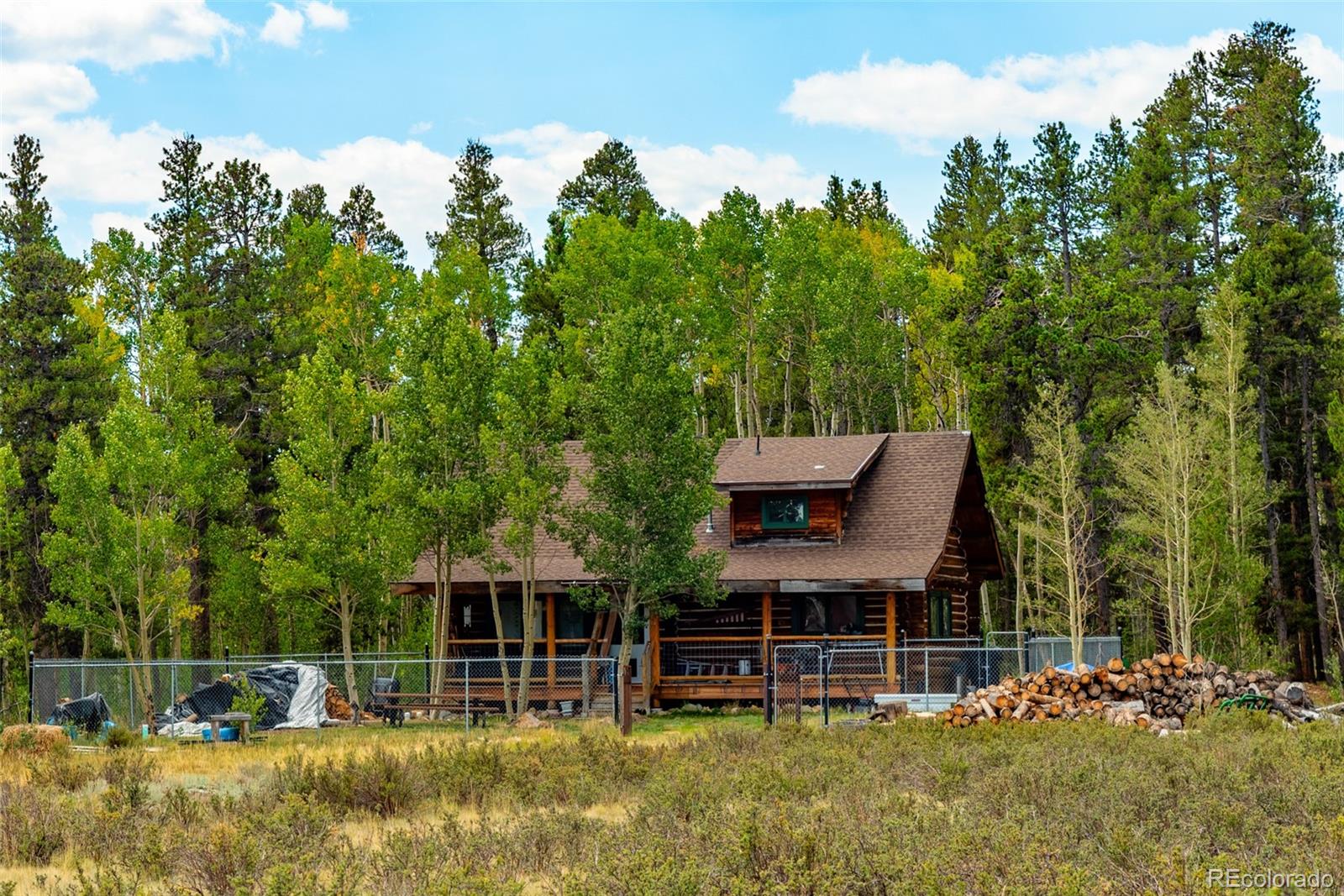 MLS Image #24 for 58  muhly court,fairplay, Colorado