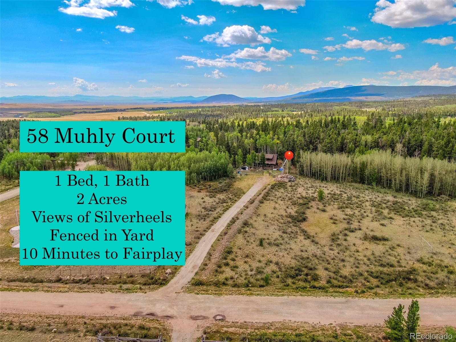 MLS Image #3 for 58  muhly court,fairplay, Colorado
