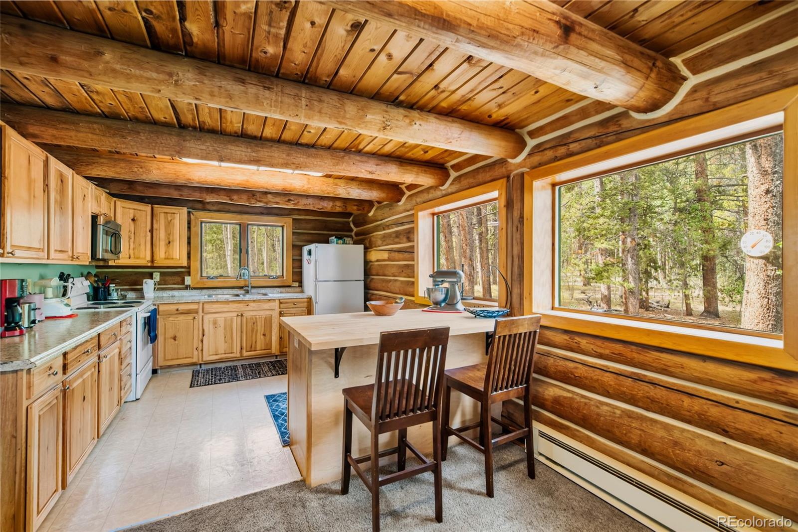 MLS Image #5 for 58  muhly court,fairplay, Colorado