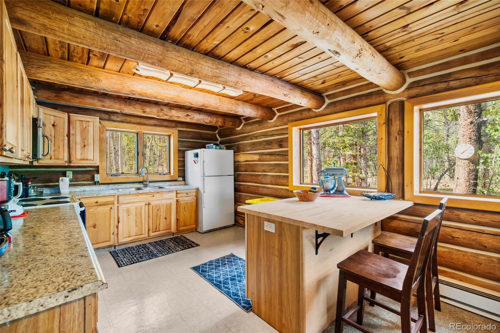 MLS Image #6 for 58  muhly court,fairplay, Colorado