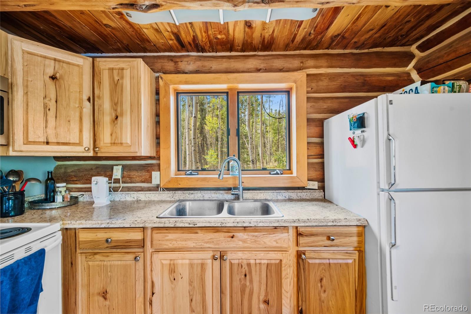 MLS Image #7 for 58  muhly court,fairplay, Colorado
