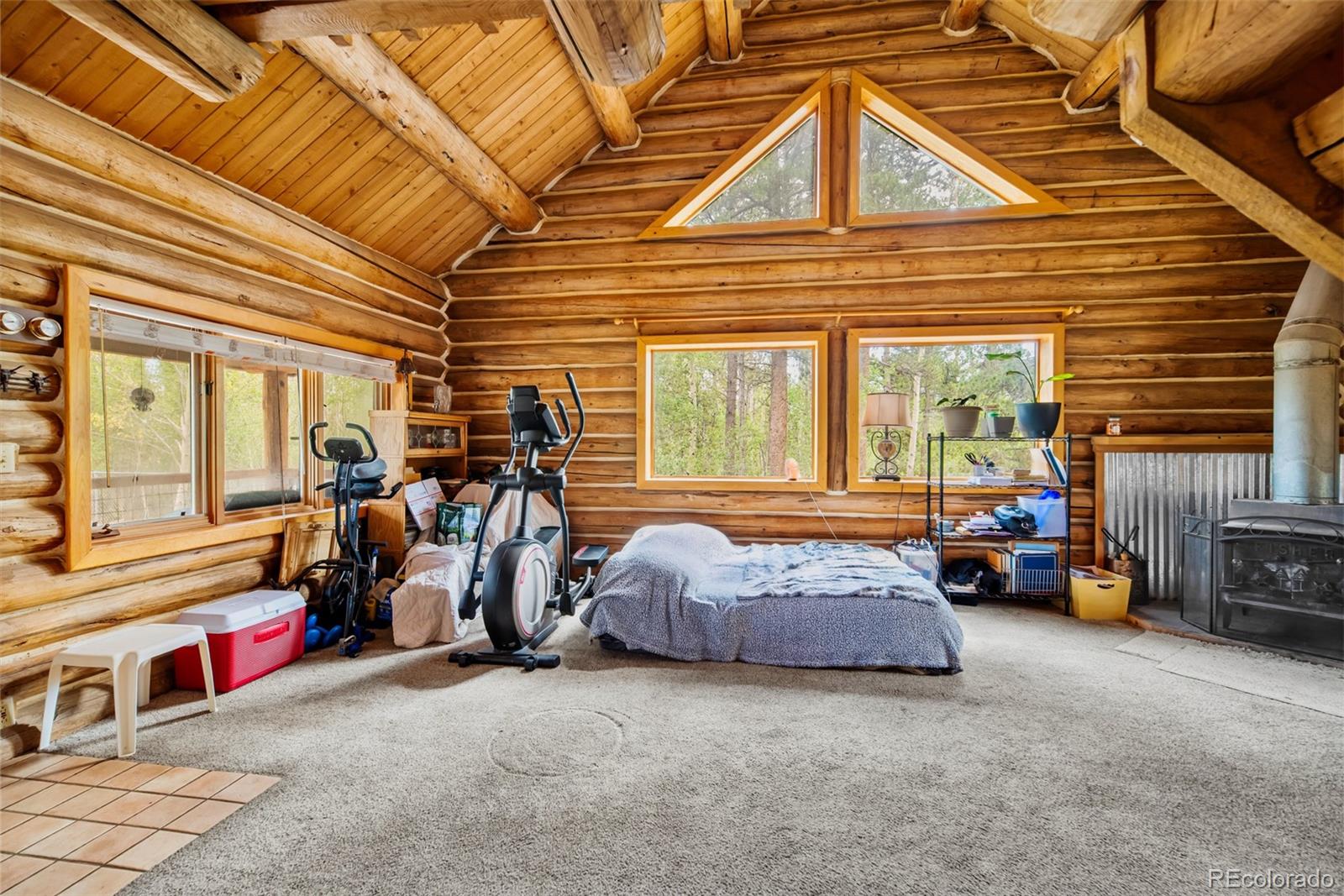 MLS Image #8 for 58  muhly court,fairplay, Colorado