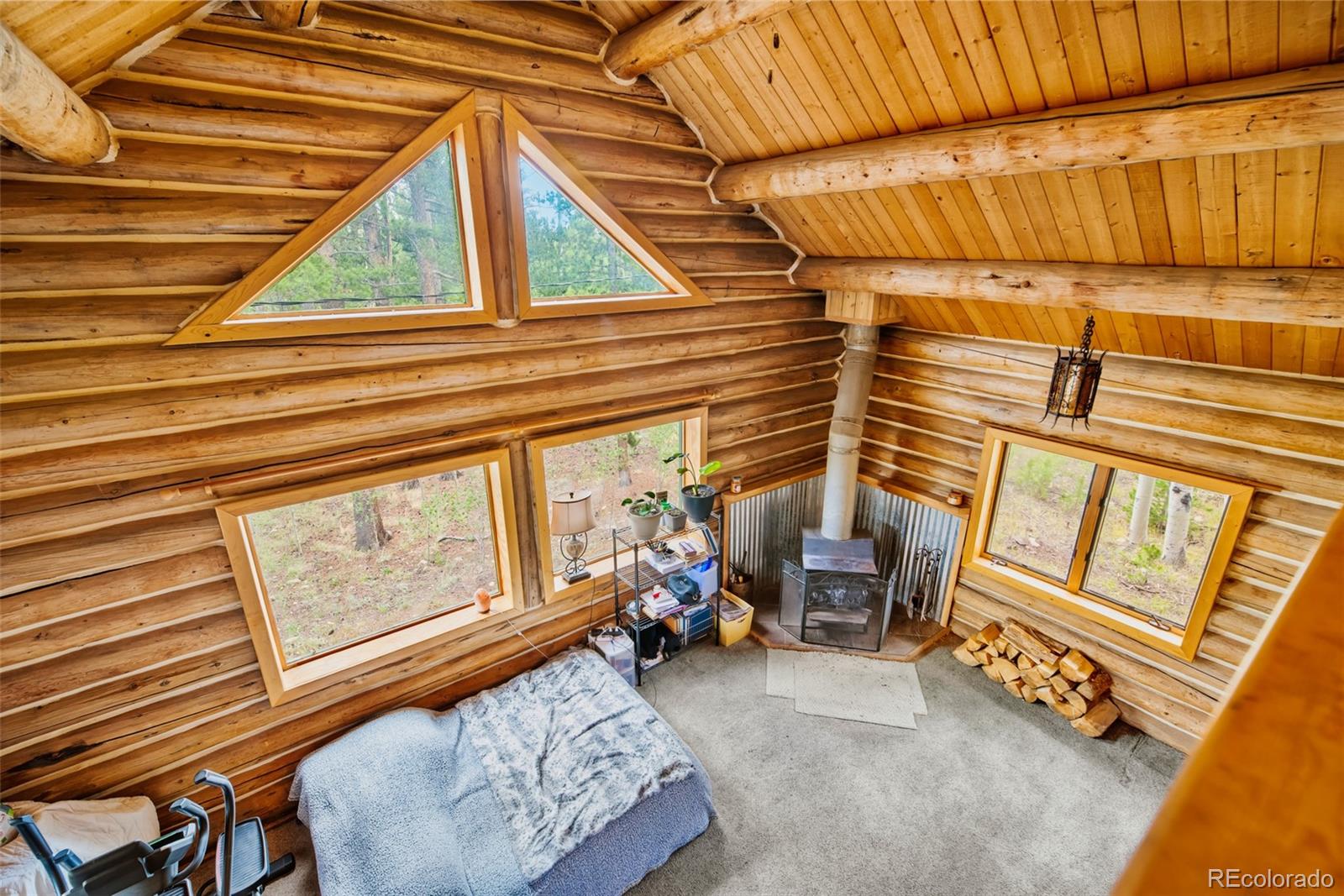 MLS Image #9 for 58  muhly court,fairplay, Colorado