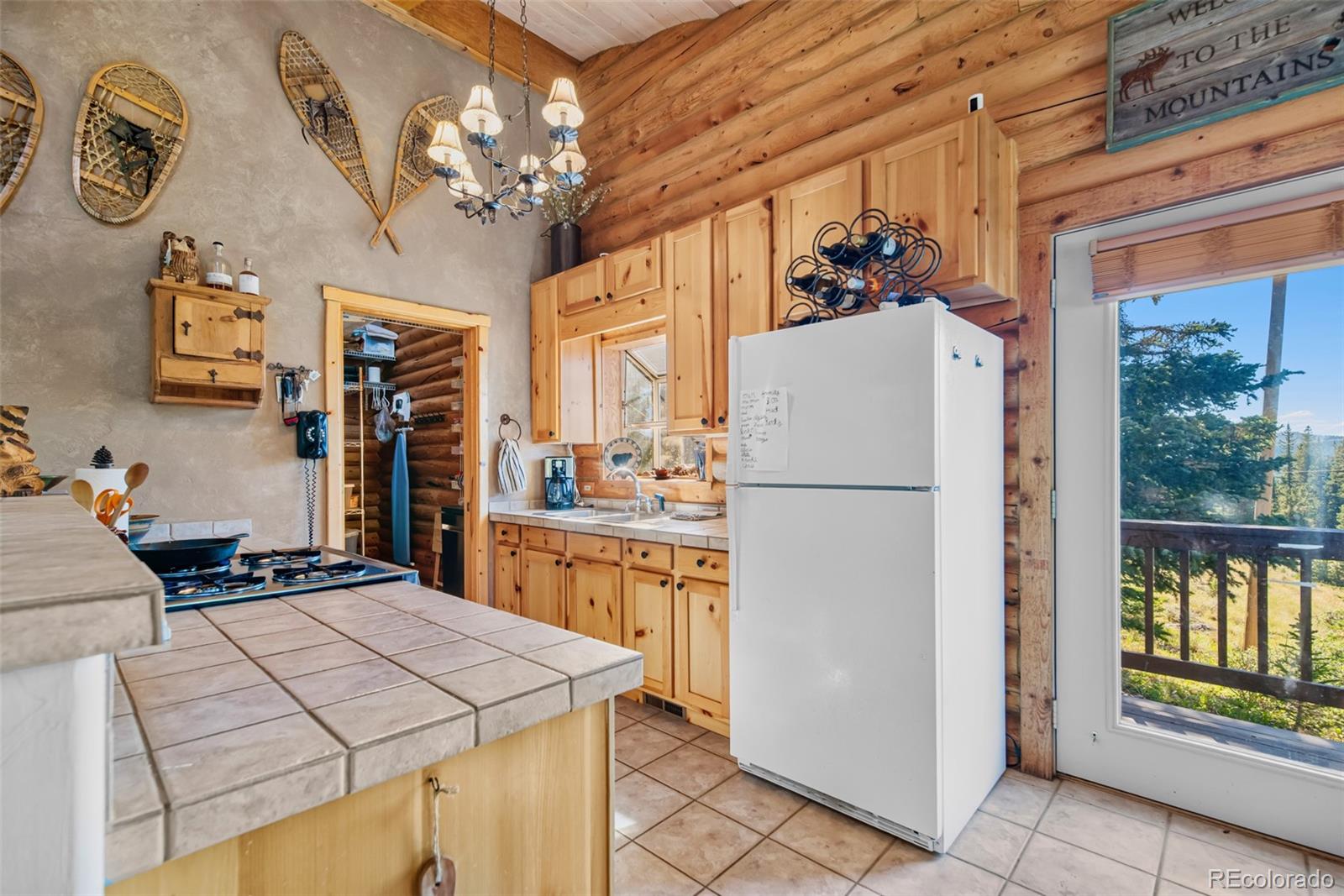 MLS Image #10 for 1989  roberts road,fairplay, Colorado