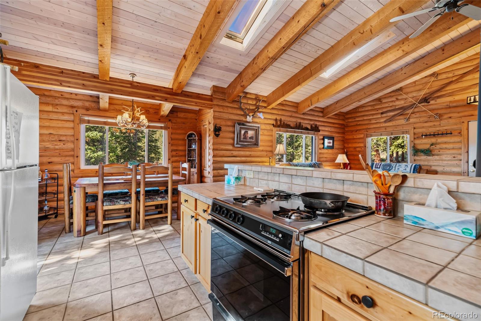 MLS Image #11 for 1989  roberts road,fairplay, Colorado