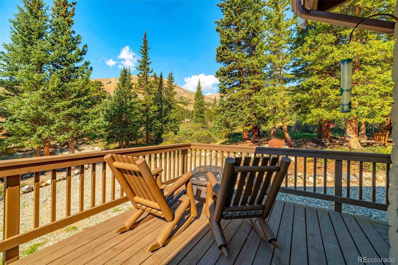 MLS Image #19 for 1989  roberts road,fairplay, Colorado