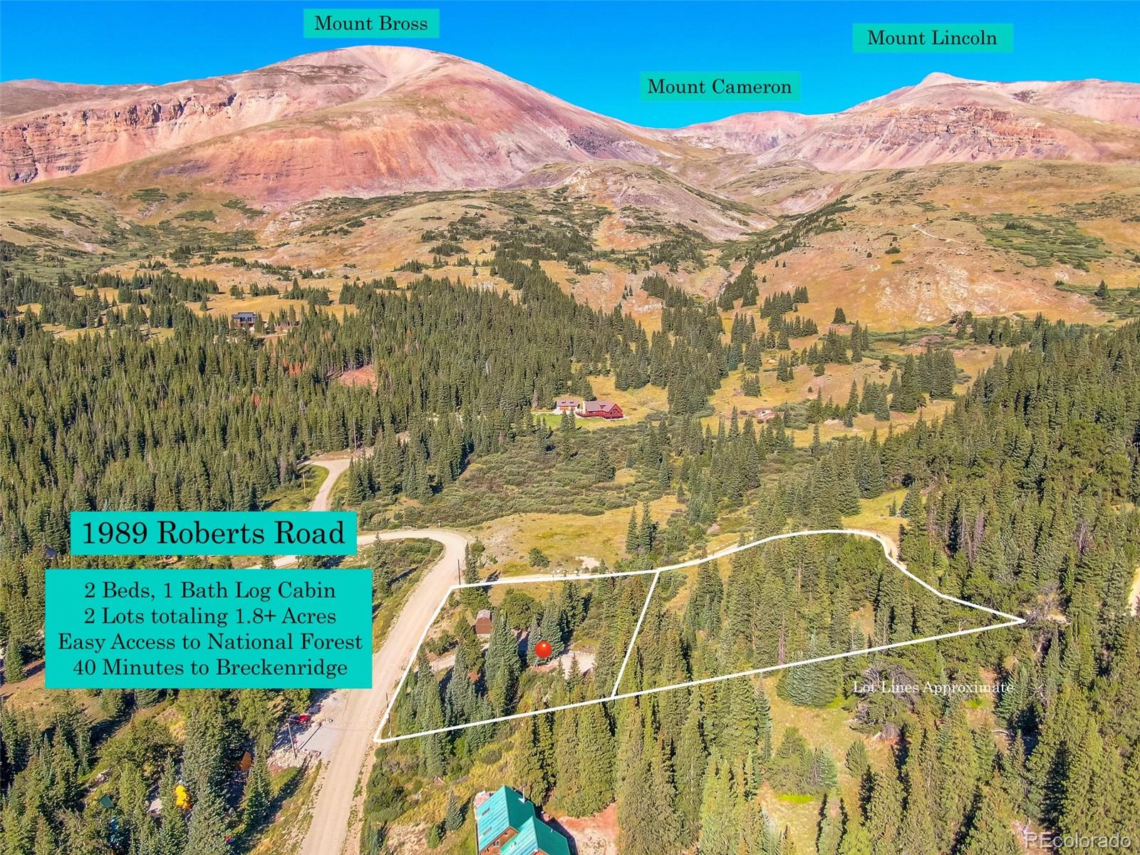 MLS Image #2 for 1989  roberts road,fairplay, Colorado