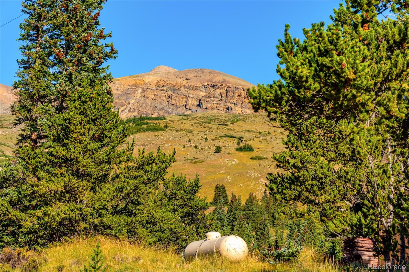 MLS Image #20 for 1989  roberts road,fairplay, Colorado