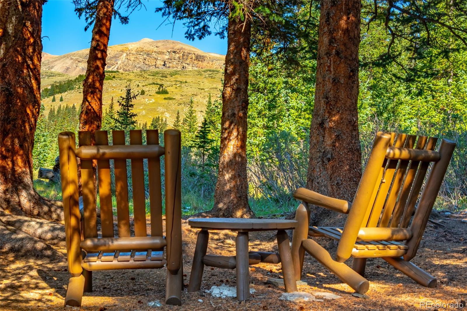 MLS Image #22 for 1989  roberts road,fairplay, Colorado